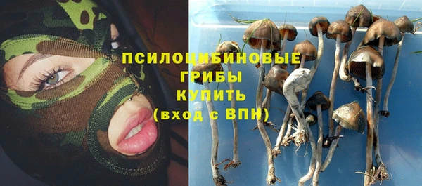 мескалин Белокуриха