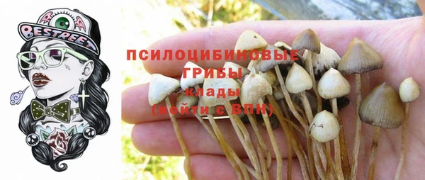 мескалин Белокуриха
